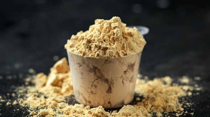 Plant-Based Protein Power_hero